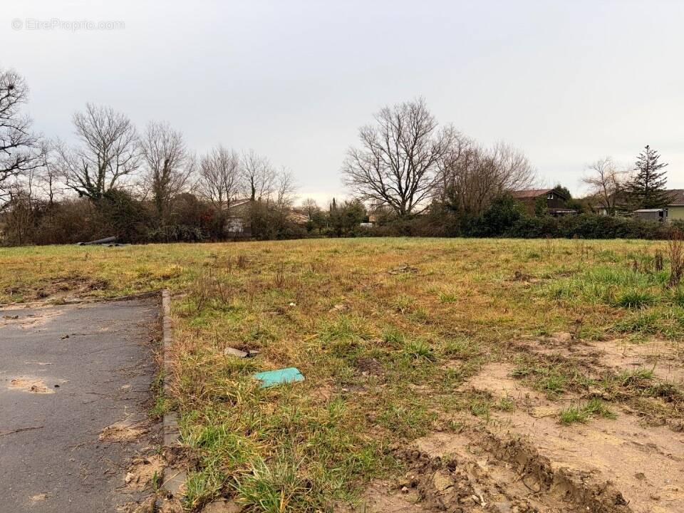 Terrain à MOULIS-EN-MEDOC