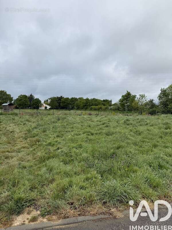 Photo 3 - Terrain à PAULX