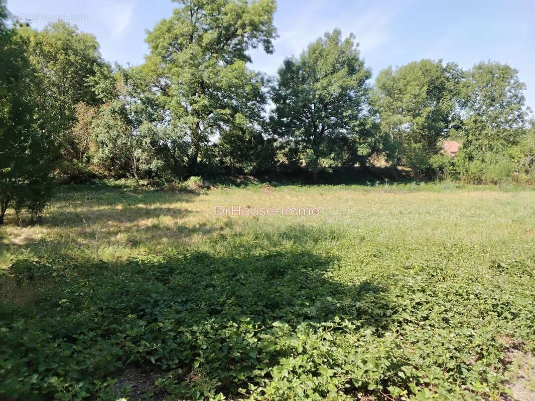 Terrain 1340 m² à Martiel  - photo 13