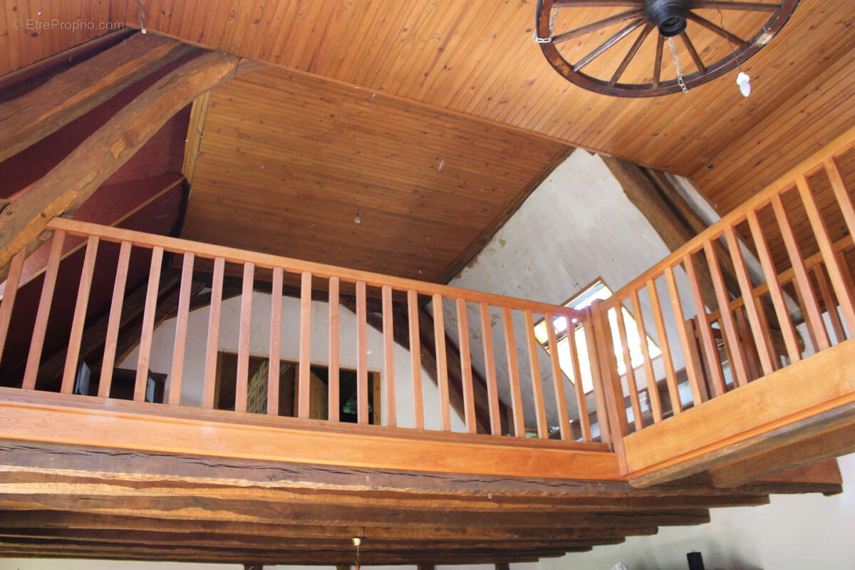 St Palais   Maison spacieuse  sur 1612 m2 dans le village. - photo 7
