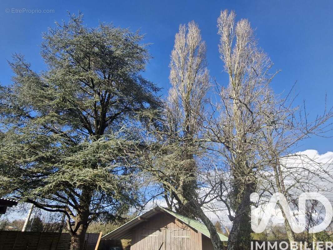 Photo 7 - Maison à COULAINES