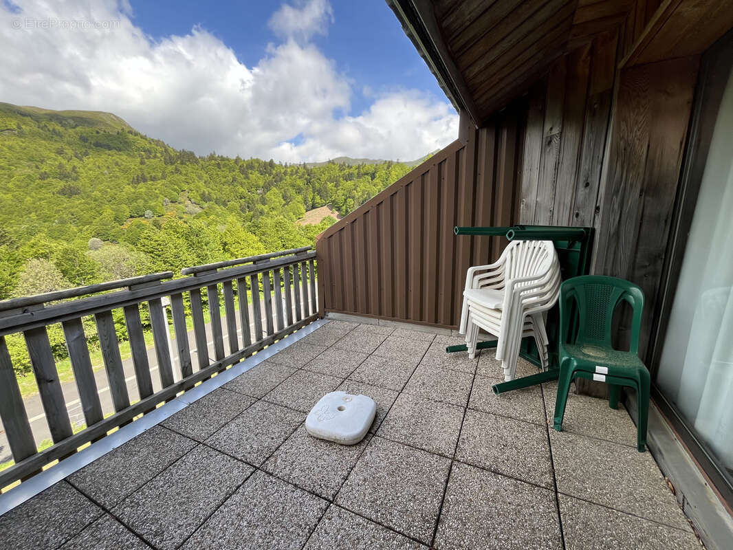 T3 duplex avec terrasse - photo 7