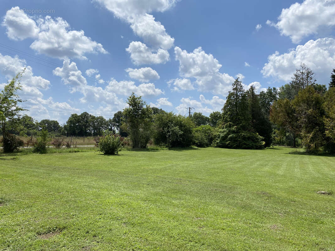 Maison à LA MAROLLE-EN-SOLOGNE