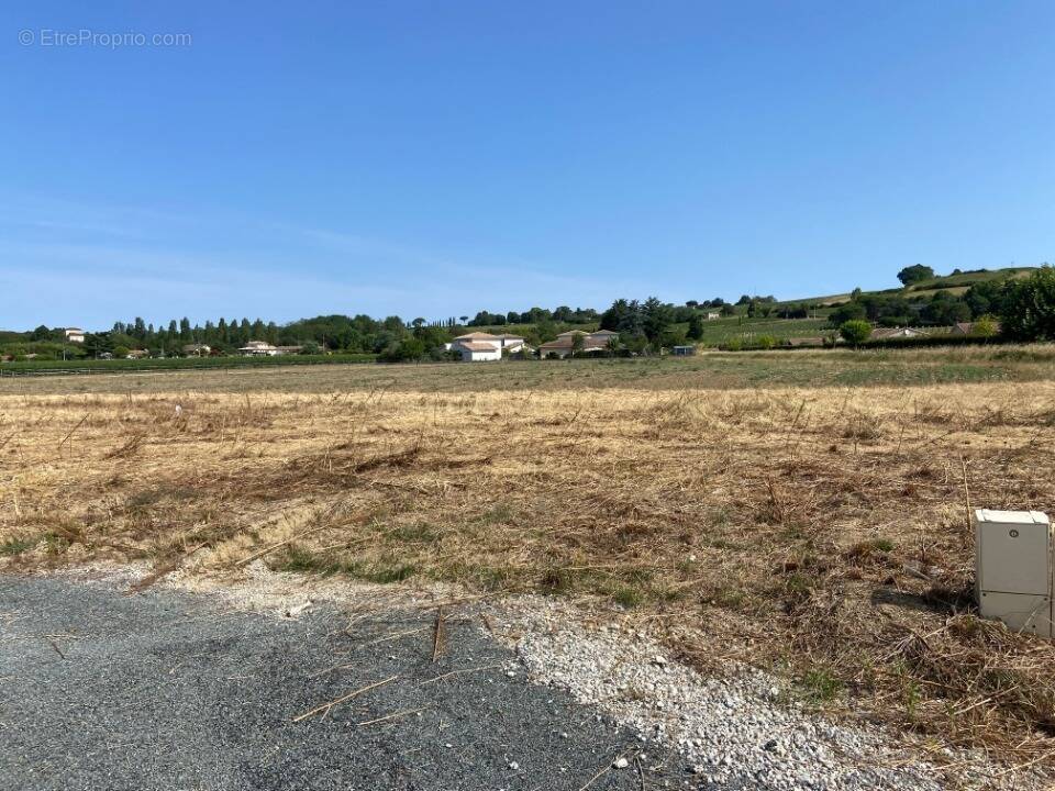 Terrain à BENESSE-MAREMNE