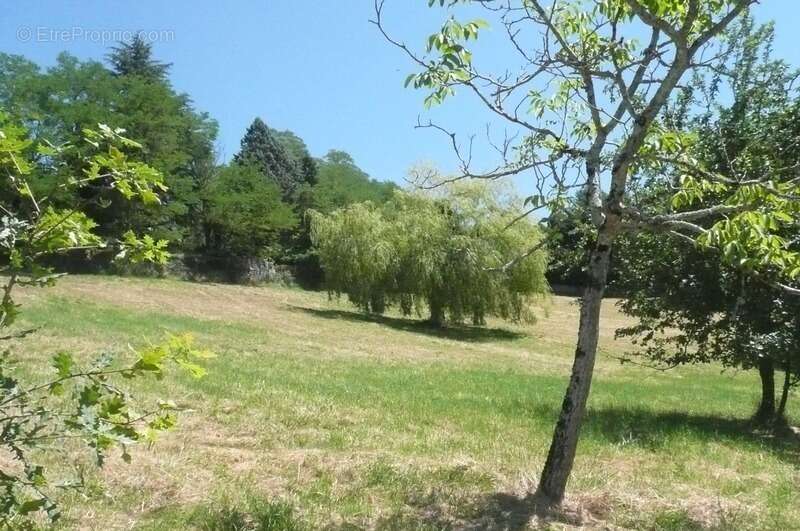 Terrain à BRIVE-LA-GAILLARDE