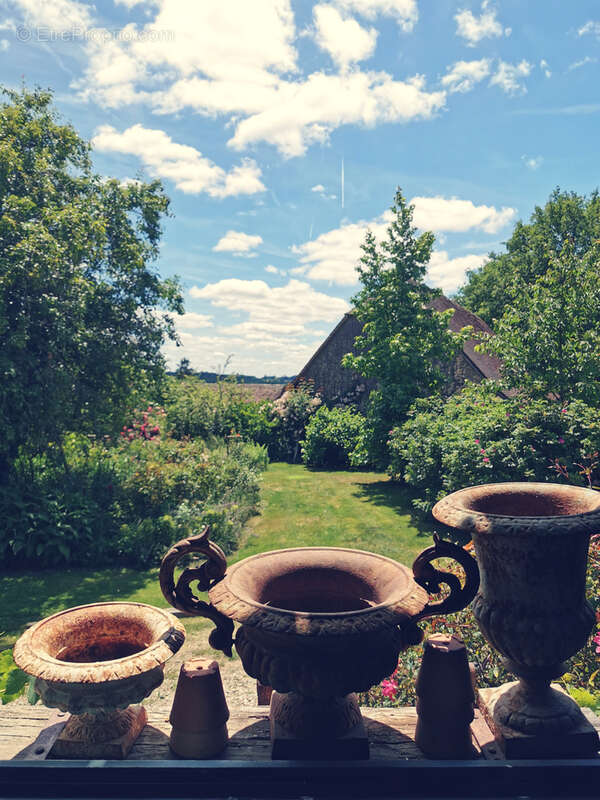 Maison d'artiste avec jardin botanique, source - Terrain 1,6 hectare - photo 33