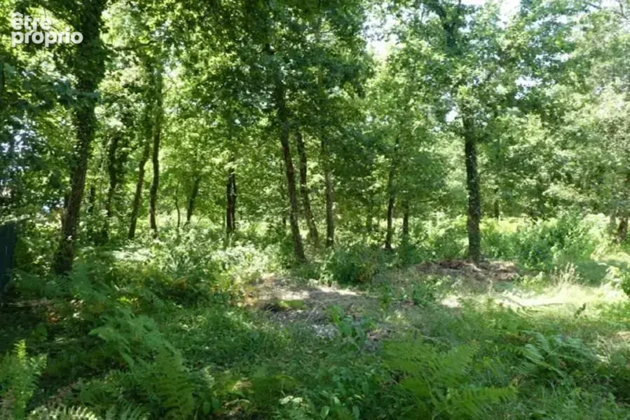 Terrain 630 m² à Audenge  - photo 2