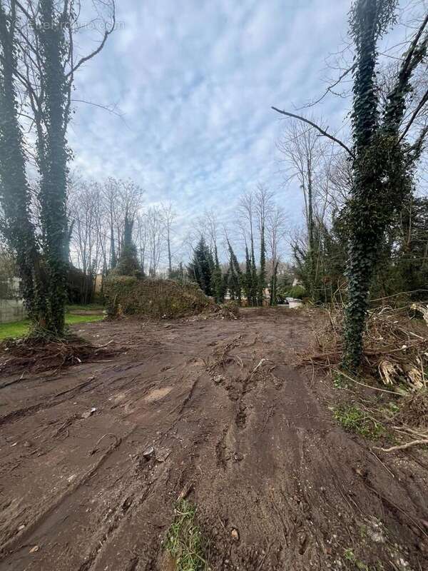 Photo 6 - Terrain à SAINT-SELVE