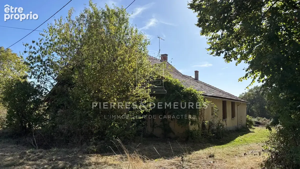 Fermette sur 1 hectare et plus possiblement - photo 23