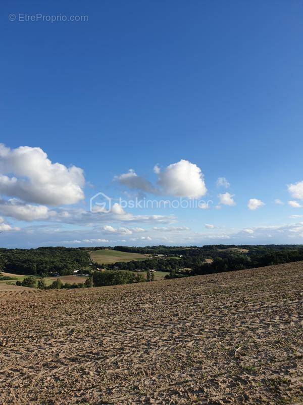 Terrain à MONCLAR-DE-QUERCY