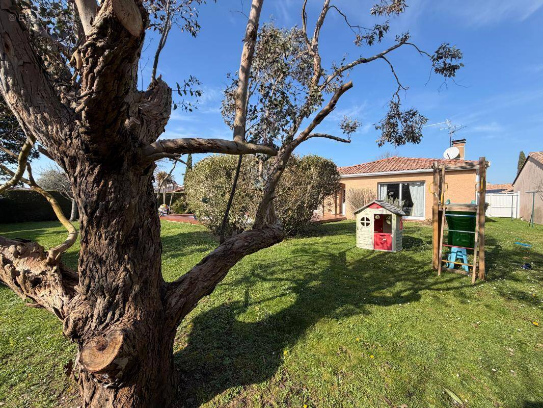 Maison à TOURNEFEUILLE