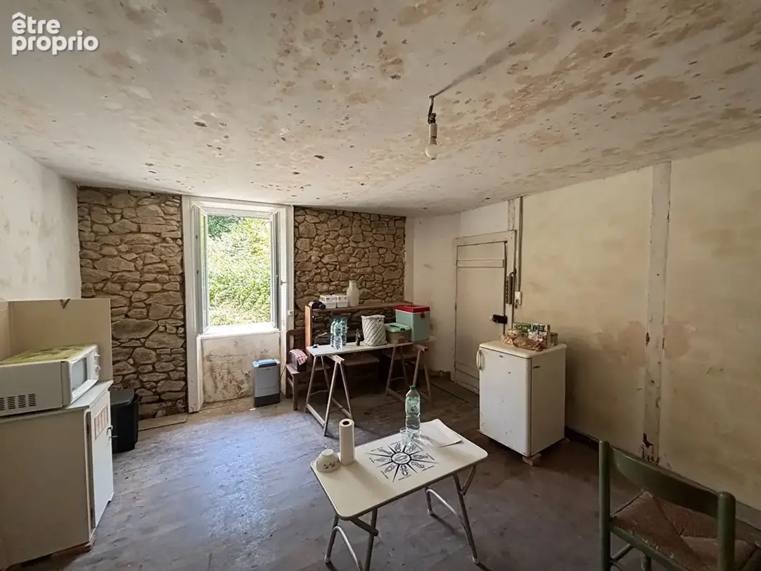 Maison 250 m² à vendre à Bussiere-Galant (87230) - photo 5