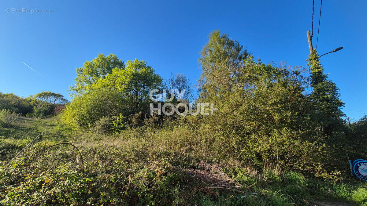 Terrain à MAREIL-MARLY