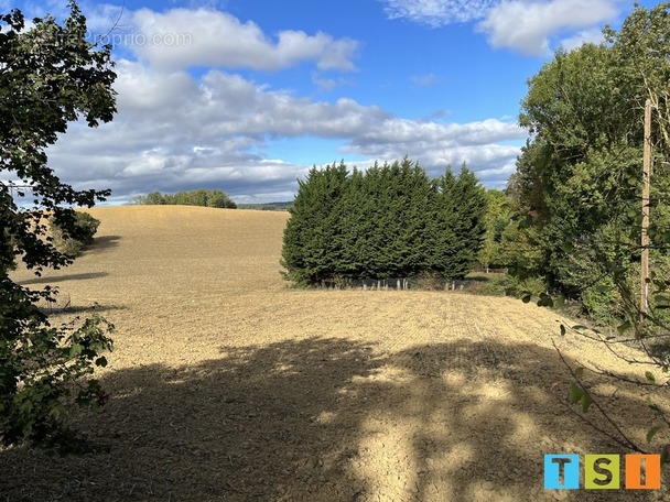 Terrain à SAINT-IGNAN