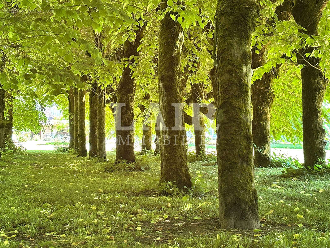 Maison à SAINT-DENIS-SUR-SARTHON