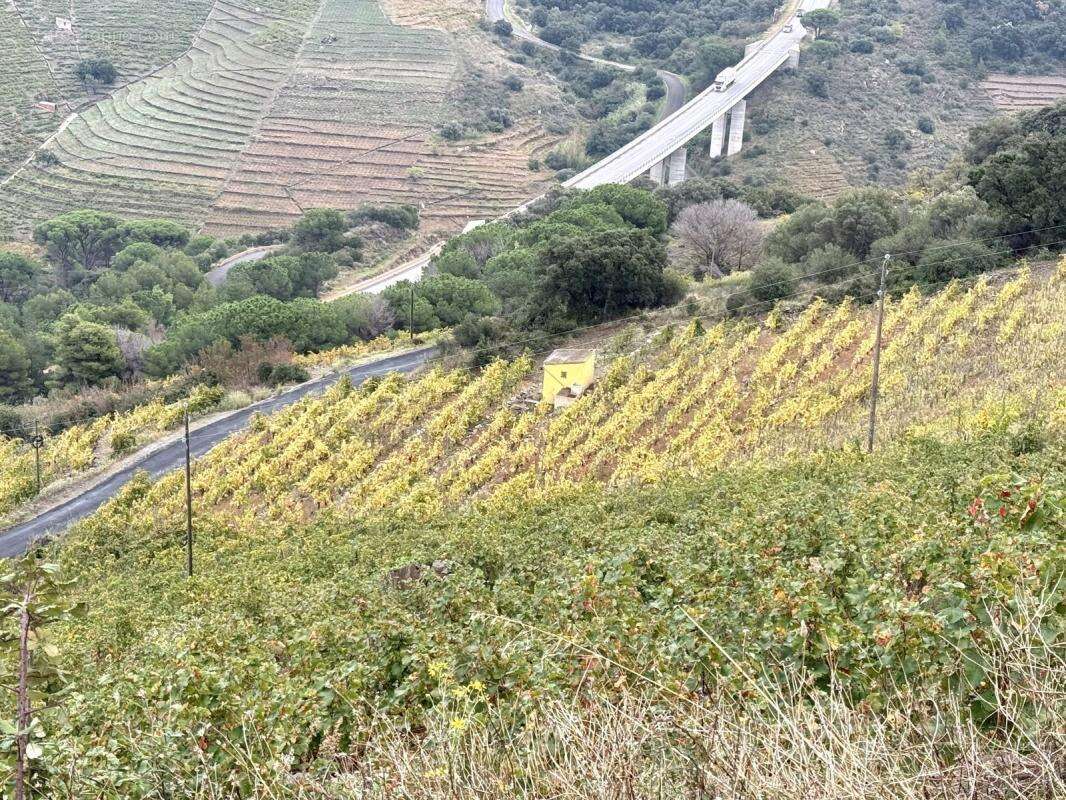 Terrain à COLLIOURE