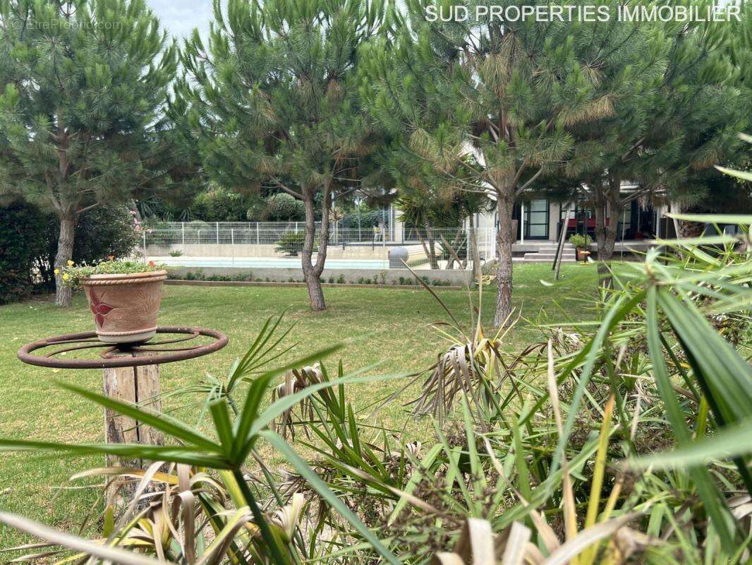 Maison à TORREILLES