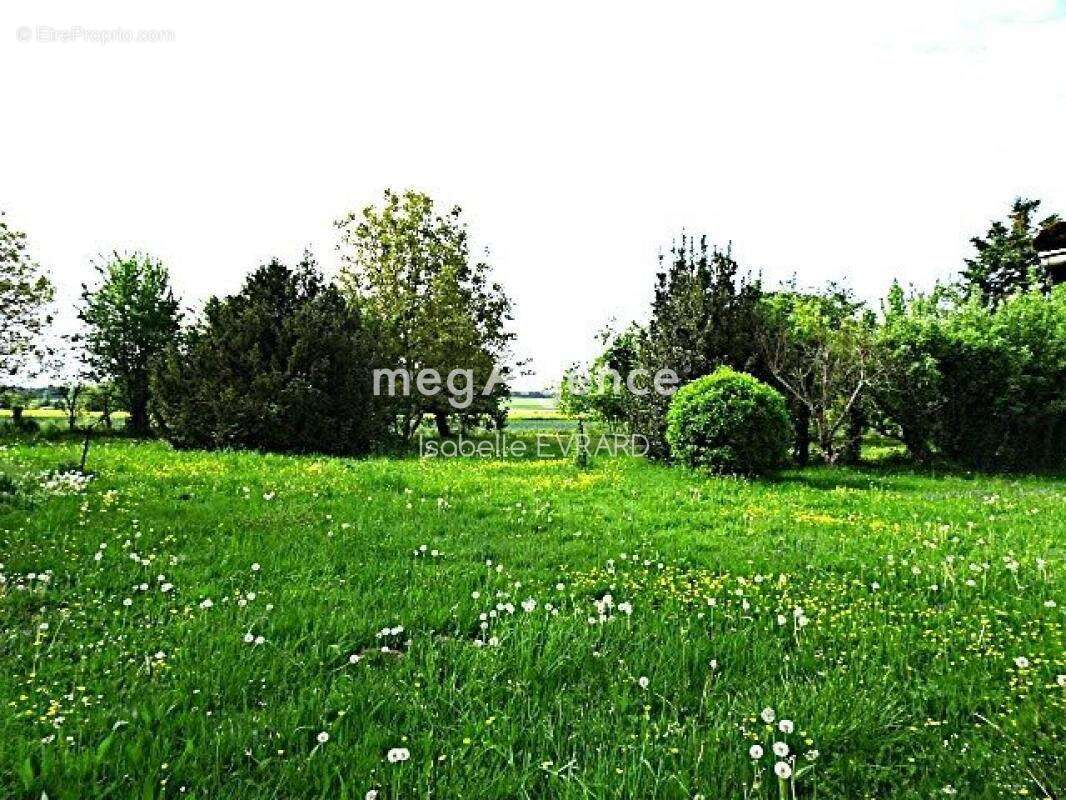 Maison à LA FORESTIERE