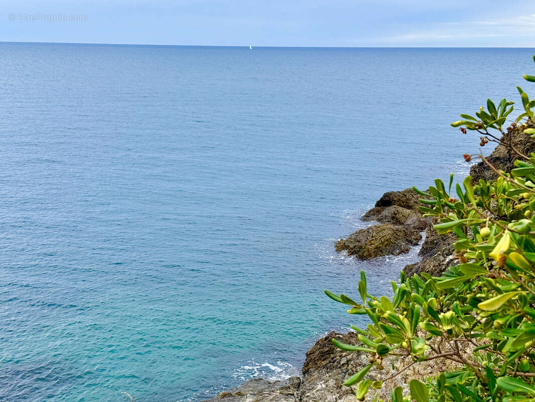 Maison à BANYULS-SUR-MER