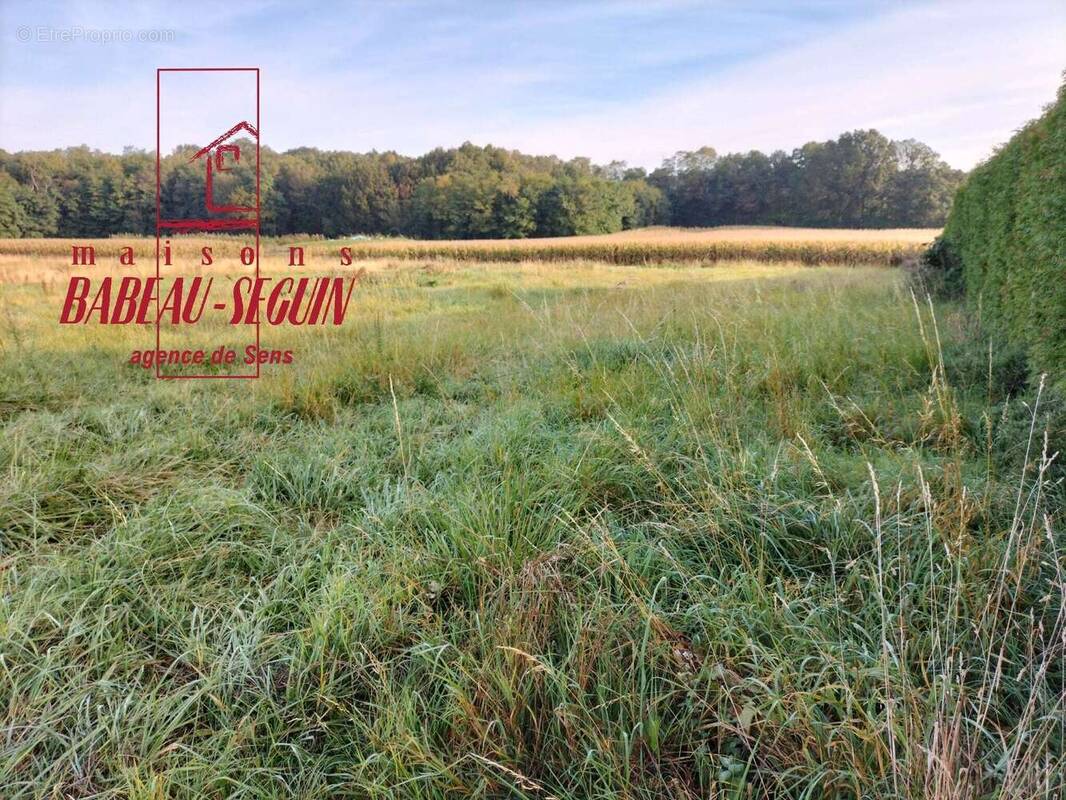 Terrain à MALAY-LE-GRAND