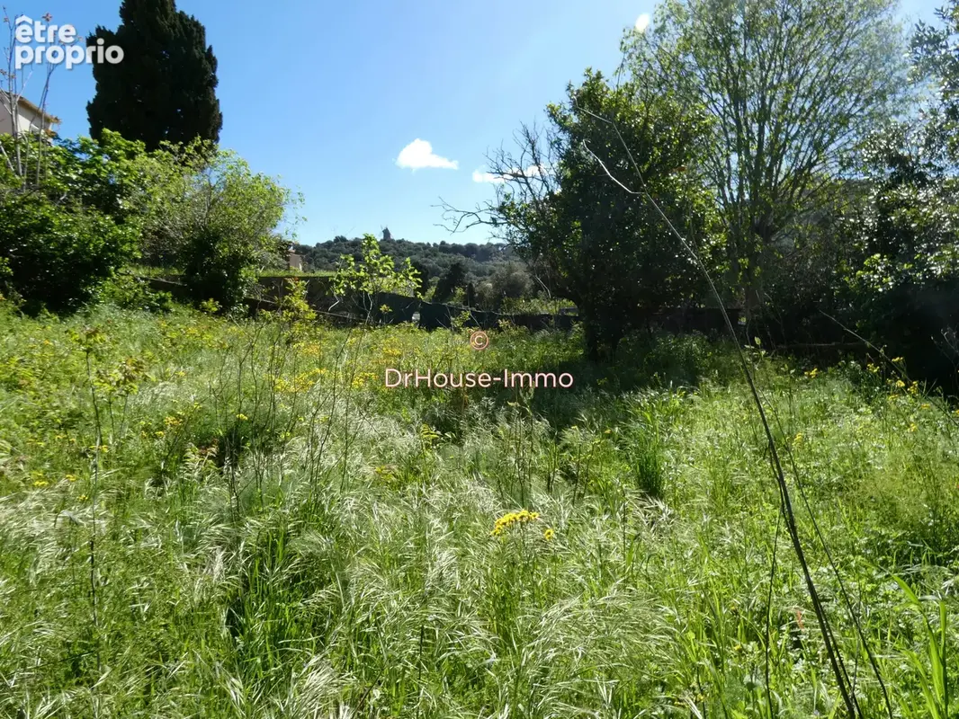 Terrain 1 555 m² à vendre à Collioure (66190) - photo 19