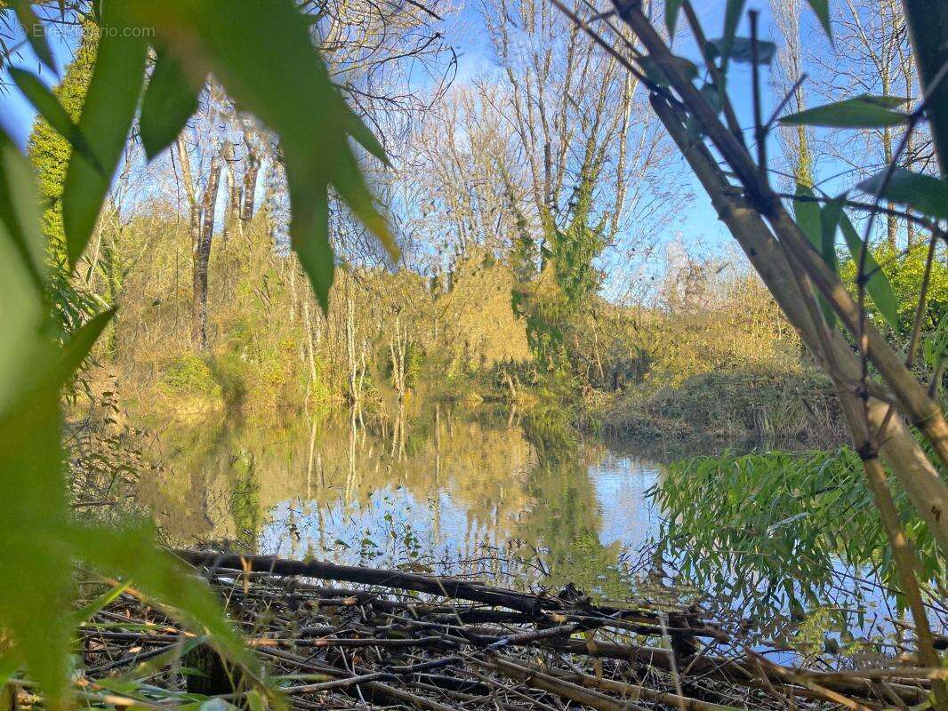 Terrain à SAINTE-ALVERE