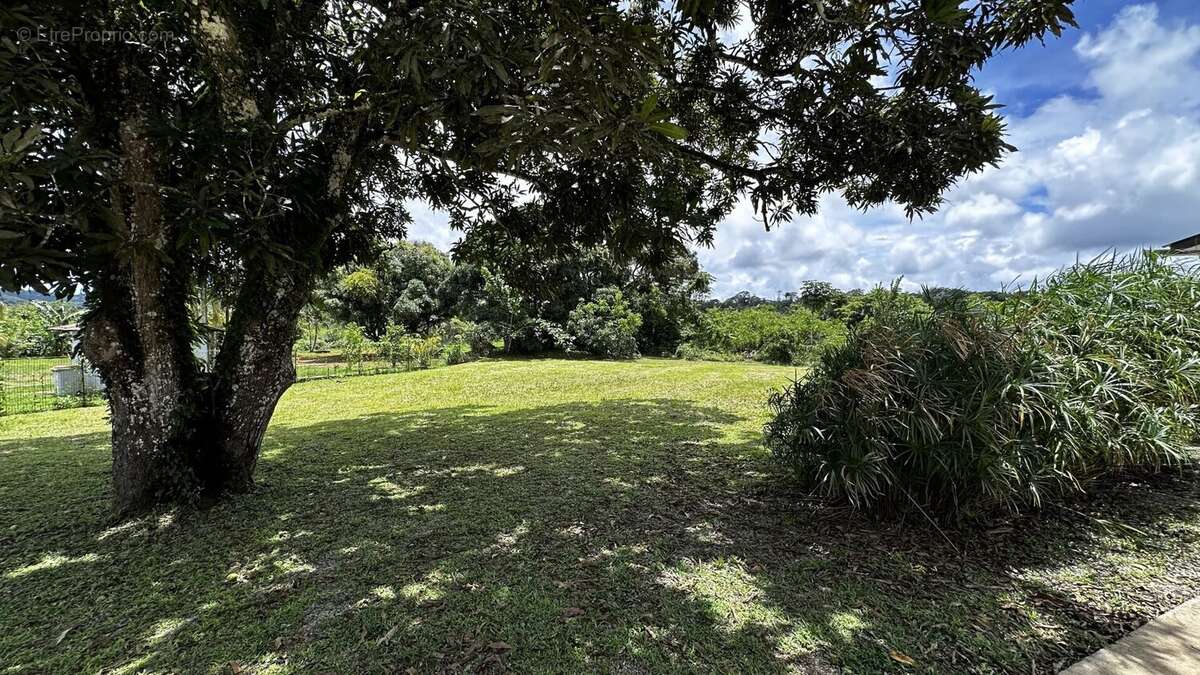 Maison à REMIRE-MONTJOLY