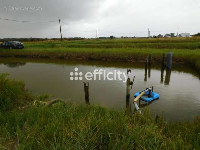 Commerce à DOLUS-D&#039;OLERON