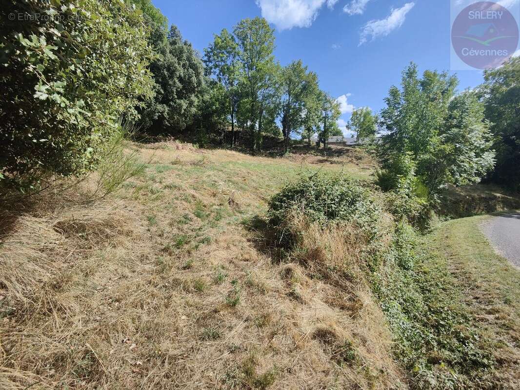 Terrain constructible de 2553m² en Cévennes Vallée Française - photo 4
