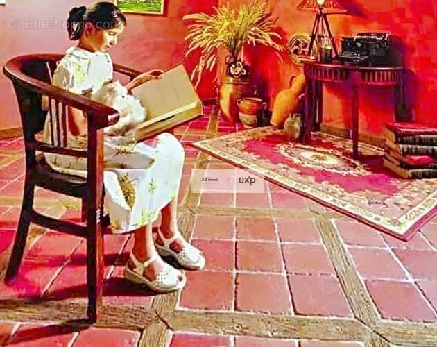 Commerce à PUYLAROQUE