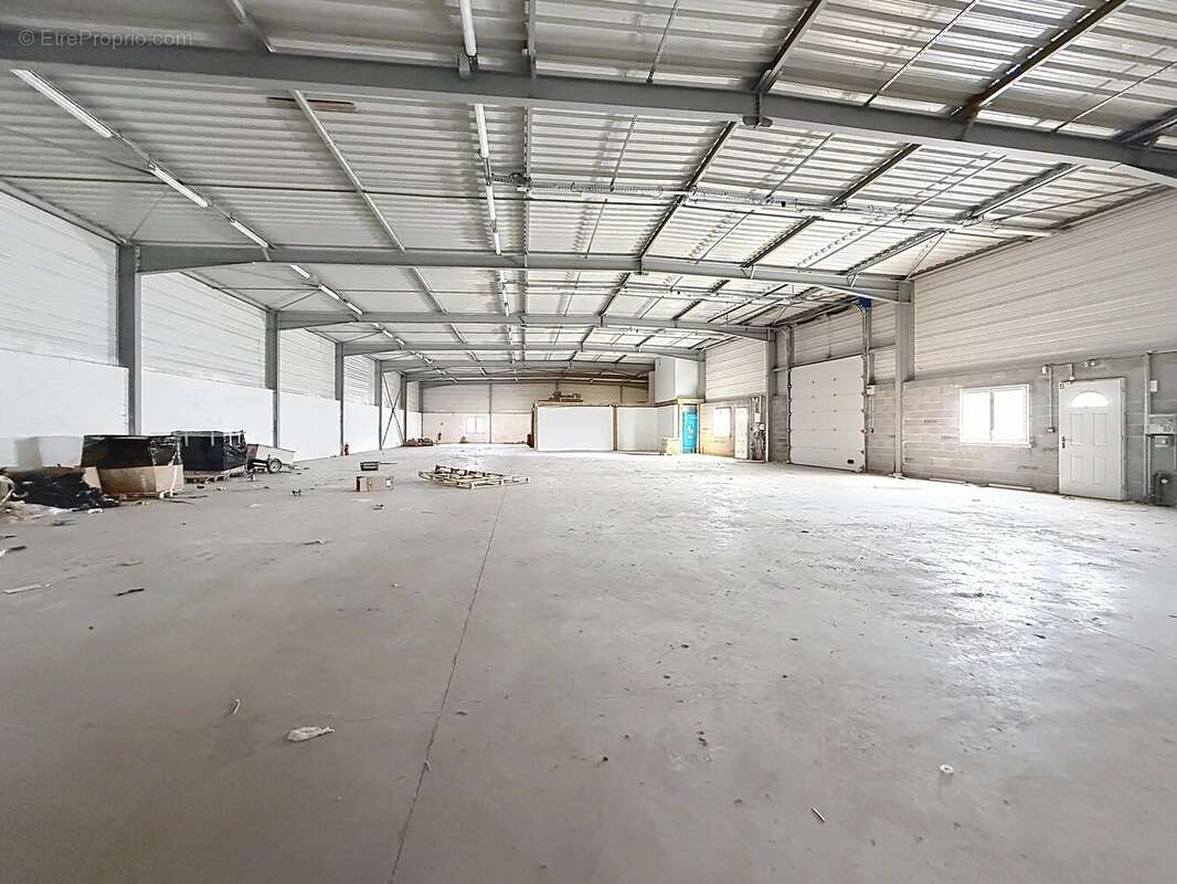 Plaisance Du Touch, Local de 1800 m². - photo 3