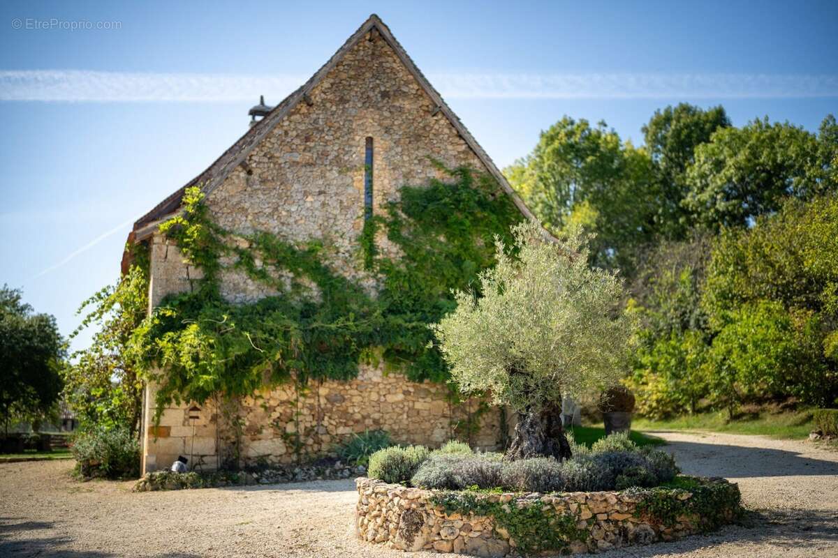 Maison 785 m² à Montagnac-La-Crempse  - photo 5