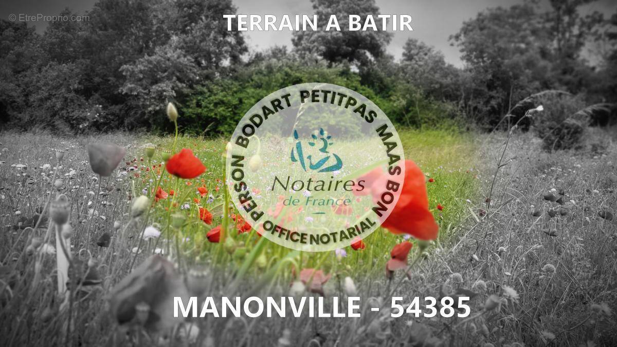 Terrain à MANONVILLE