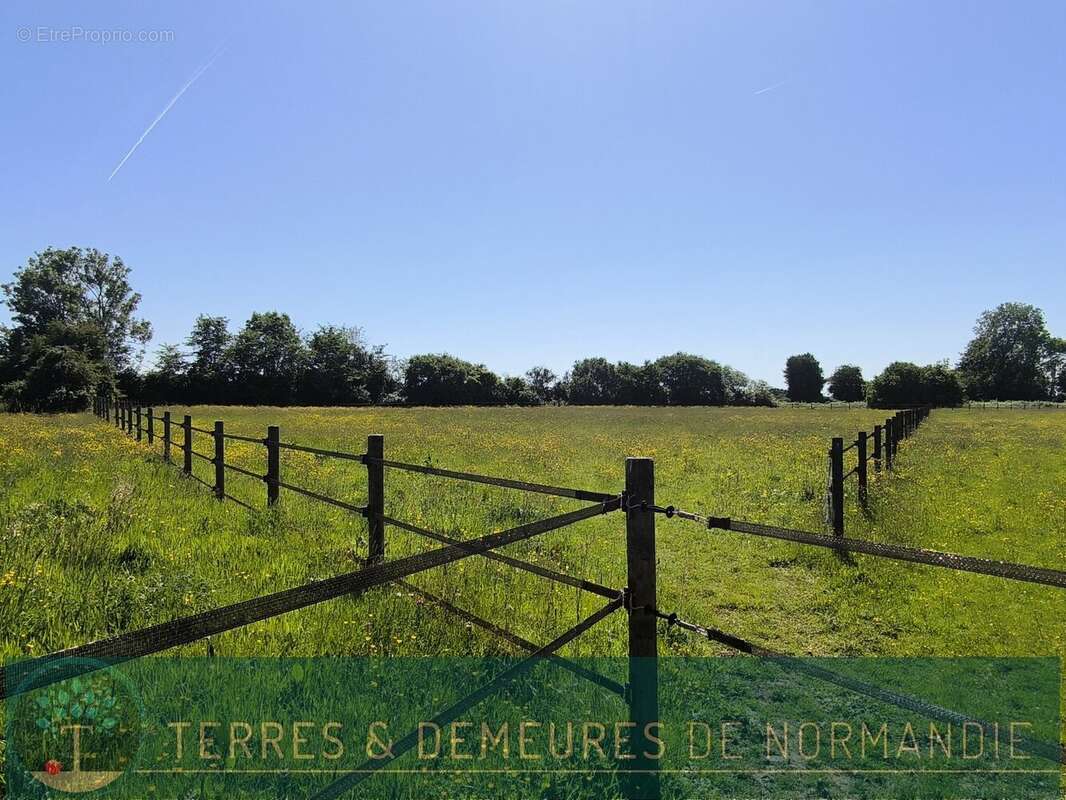 CORMEILLES (27260), Belle Propriété avec Dépendances sur 8 hectares. - photo 21