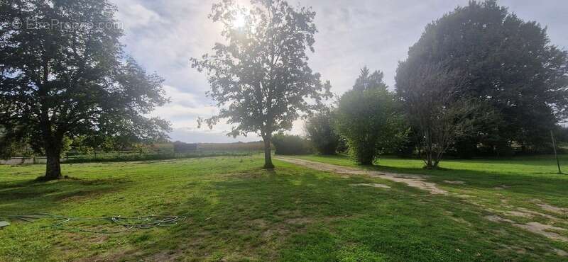 Maison à CREON-D&#039;ARMAGNAC