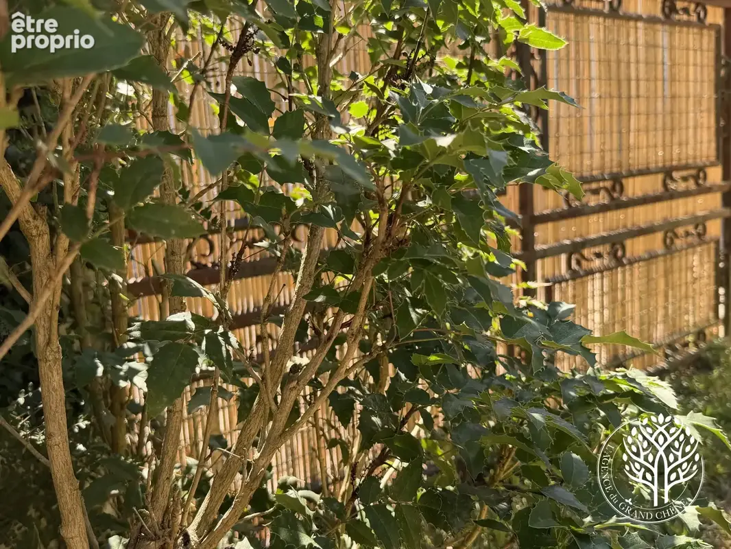 Maison avec ponton privatif sur la Charente à Saint-Savinien-sur-Charente - photo 16