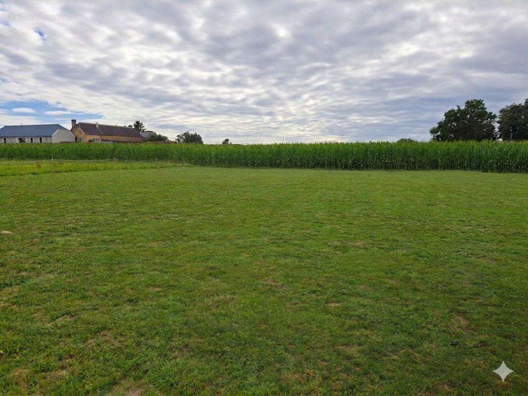 Terrain à RIUPEYROUS