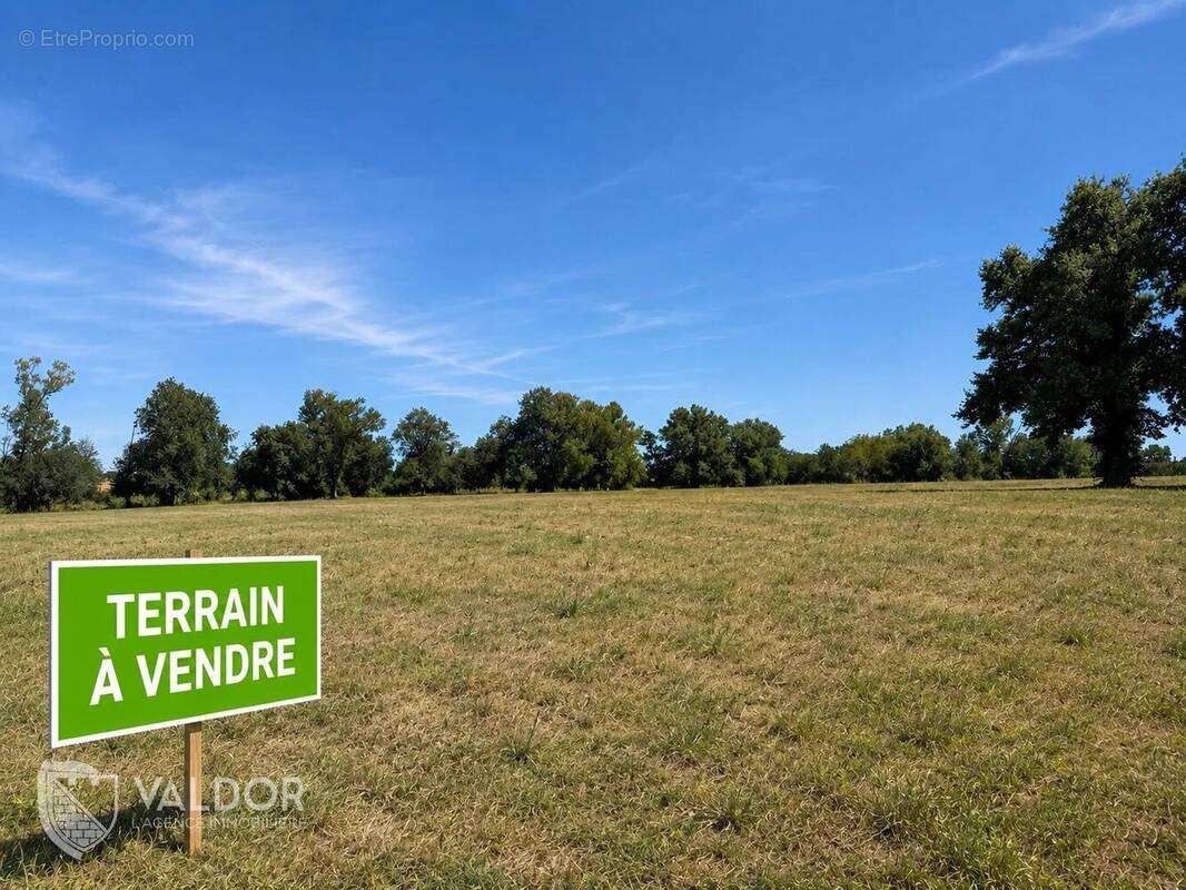 Terrain à FRANCHELEINS