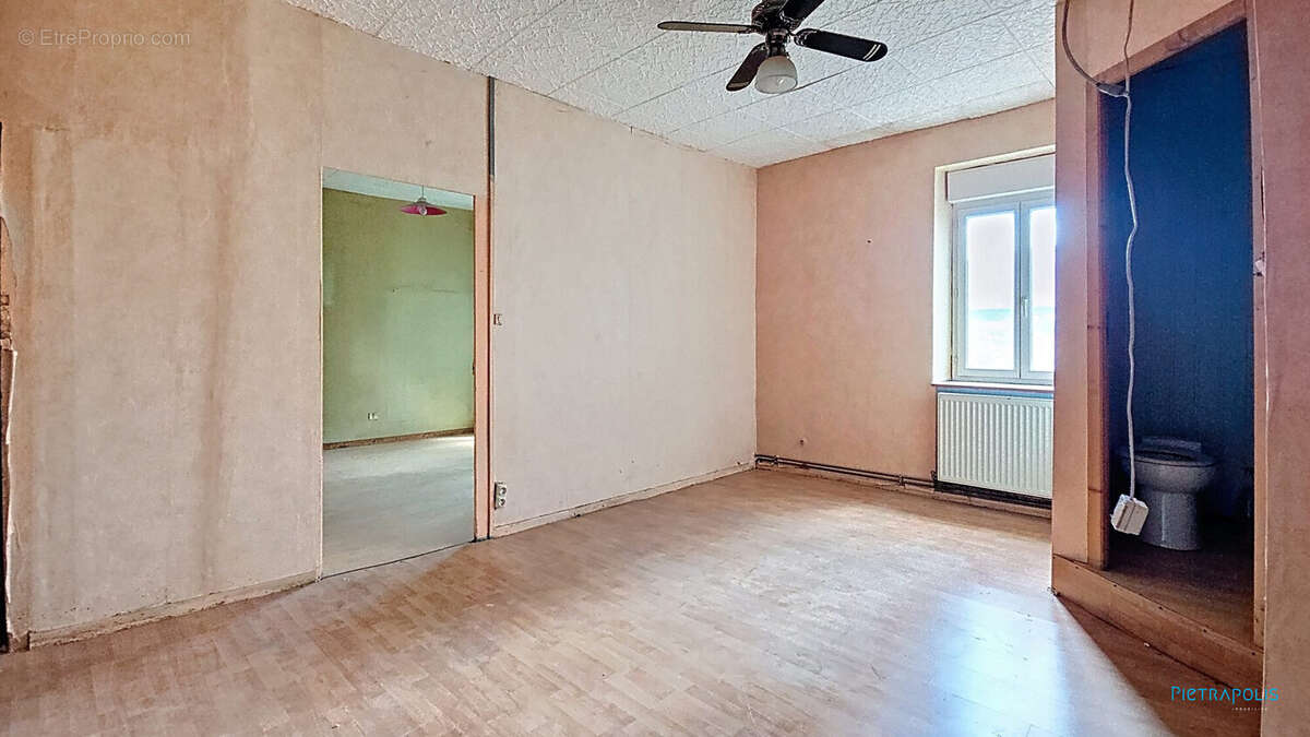 Maison à LES ROCHES-DE-CONDRIEU