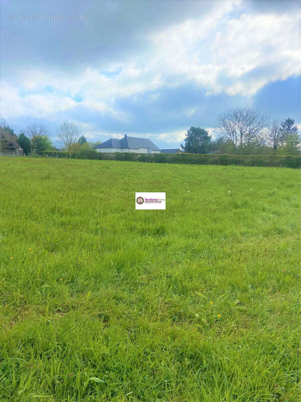 Terrain à LE MELE-SUR-SARTHE