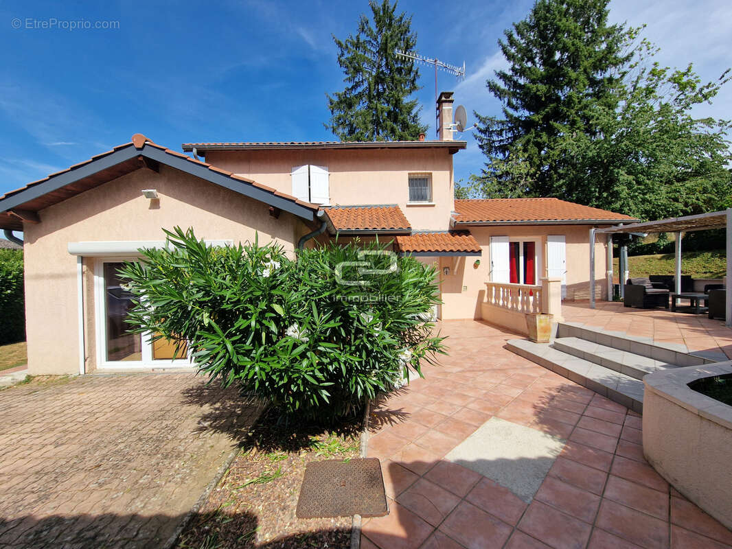 Villa Saint-Romain-au-Mont-d'Or - photo 22