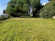 Terrain à CAGNES-SUR-MER