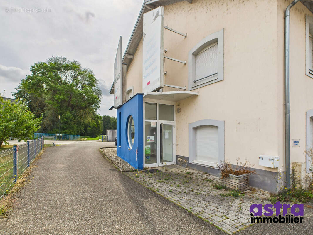 Commerce 1243 m² à Waldighofen  - photo 3