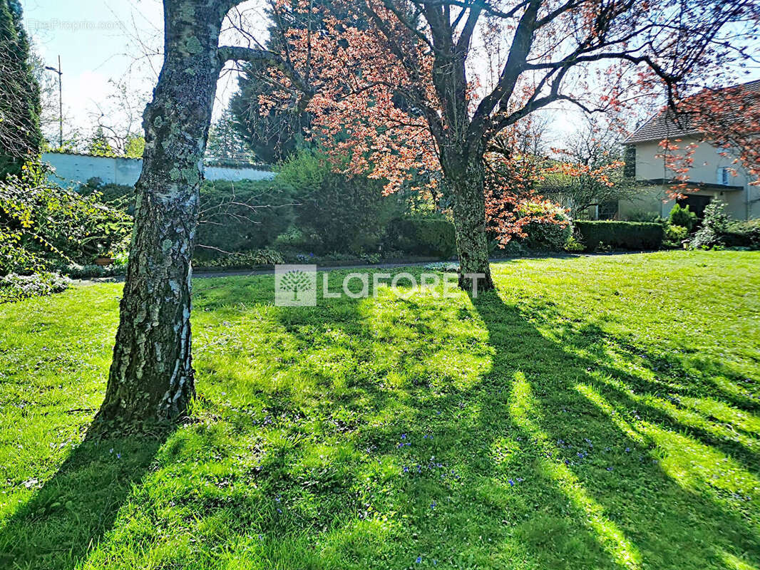 Terrain à NEUVILLE-SUR-SAONE