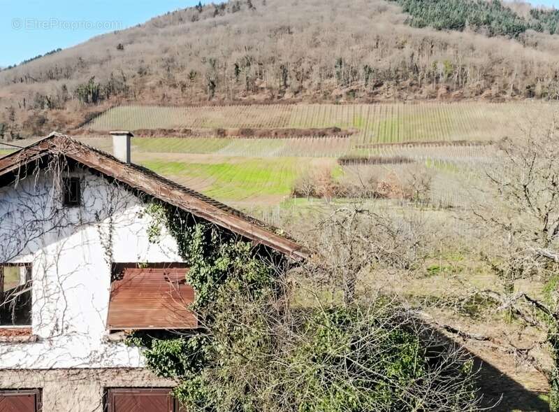 Maison à CHATENOIS