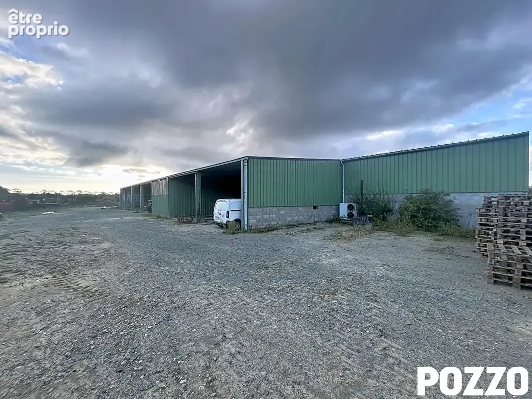 TOURNEVILLE SUR MER (50660) - Entrepôt / local industriel  édifié sur 7800 m² de terrain. - photo 5