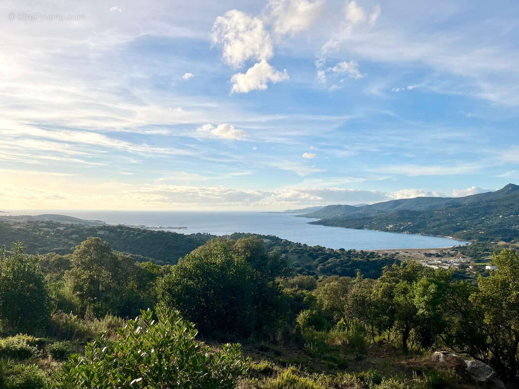 Terrain à VIGGIANELLO