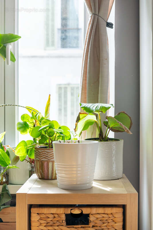 Appartement à MARSEILLE-6E