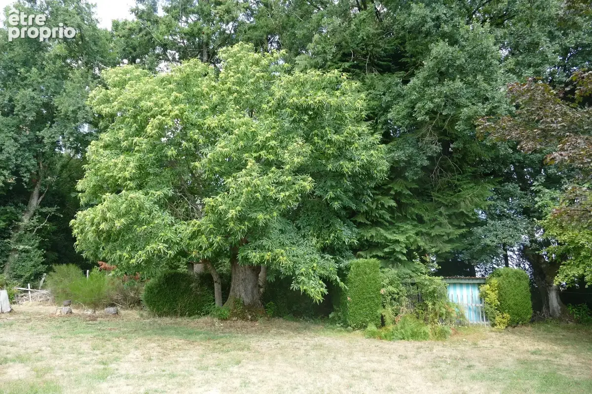 Maison plain-pied, restaurée, avec sous-sol et jardin, proche commerces et services médicaux - photo 22