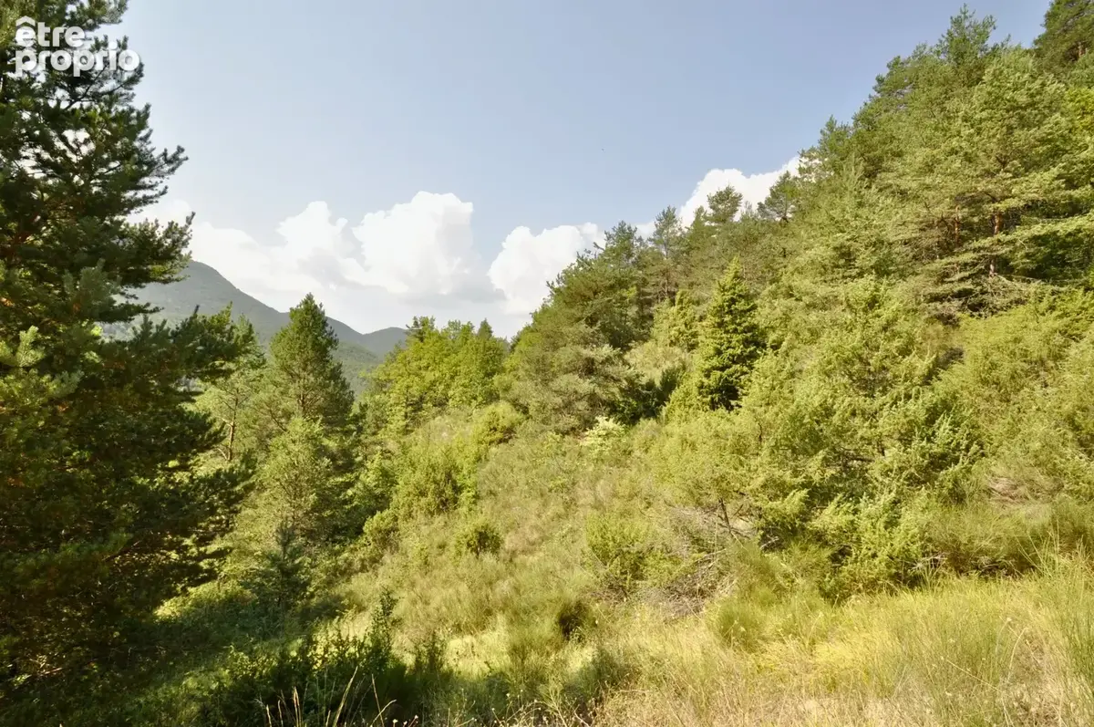 Dpt Alpes de Haute Provence (04), à vendre Proche ENTREVAUX Superbe terrain de plus d'un hectare avec vue montagnes - photo 10